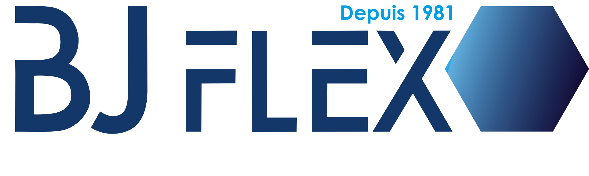 logo-bjflex